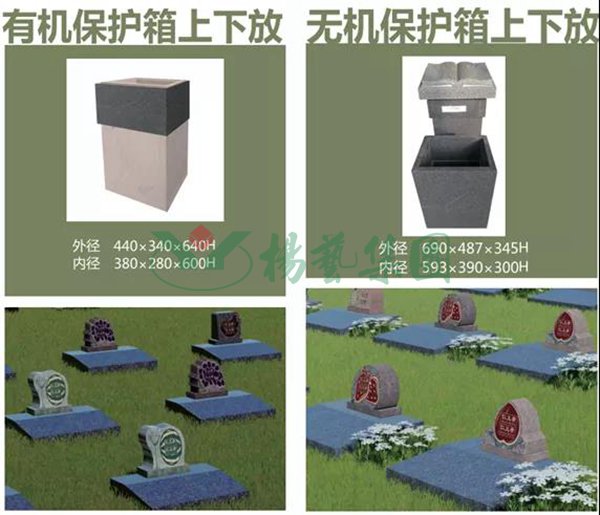 兰科博弈(RankBet)有限公司官网