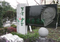 芦芒