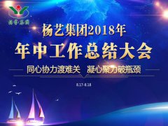 杨艺集团2018年中总结汇报（提要）