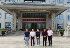 多地辅导莅临杨艺集团视察、审核