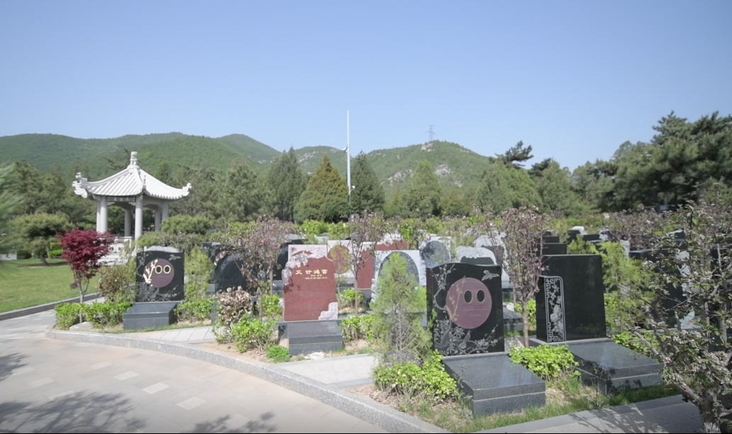 兰科博弈(RankBet)有限公司官网