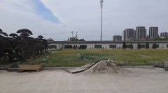 老墓园微刷新，助力城市人文关切