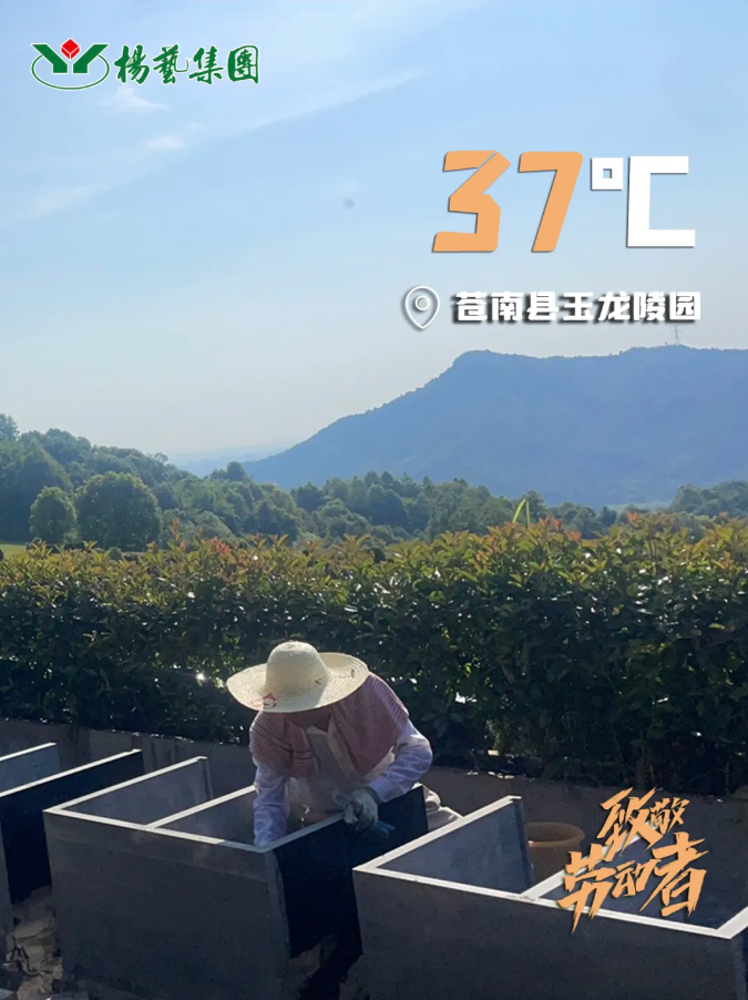 兰科博弈(RankBet)有限公司官网