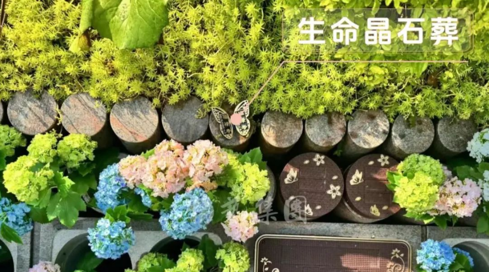兰科博弈(RankBet)有限公司官网