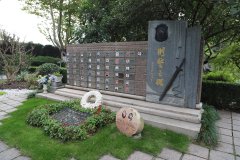 致敬“安然卫士”，铭刻“刑警之魂”