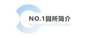 兰科博弈(RankBet)有限公司官网