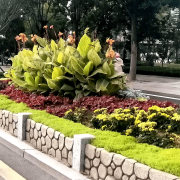 无机仿真石花箱：以永恒之名，塑未来之境