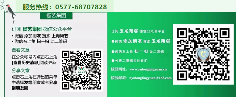 兰科博弈(RankBet)有限公司官网